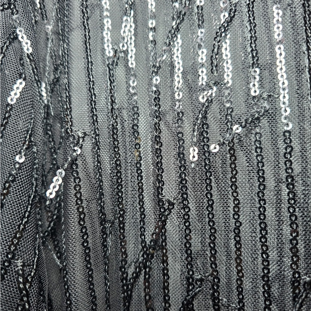 Ultra Pink Black Sheer Sequined Collared Button Up Size 2X Plus LS NWT Dressy - Picture 7 of 8